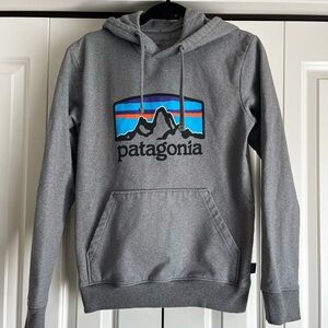 Patagonia Gray Hoodie XS
